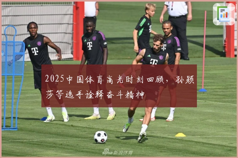 2025中国体育高光时刻回顾，孙颖莎等选手诠释奋斗精神