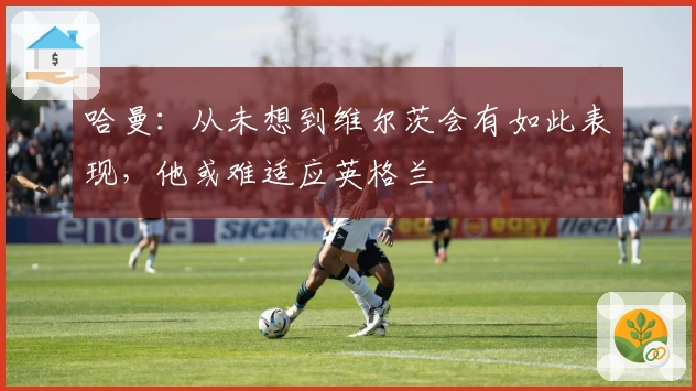哈曼：从未想到维尔茨会有如此表现，他或难适应英格兰