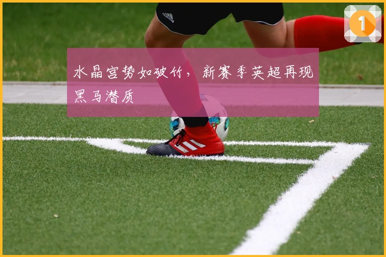 水晶宫势如破竹,新赛季英超再现黑马潜质