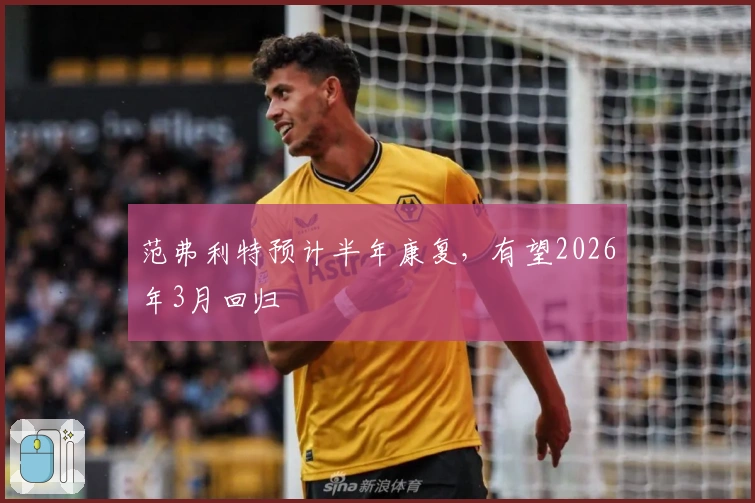 范弗利特预计半年康复，有望2026年3月回归