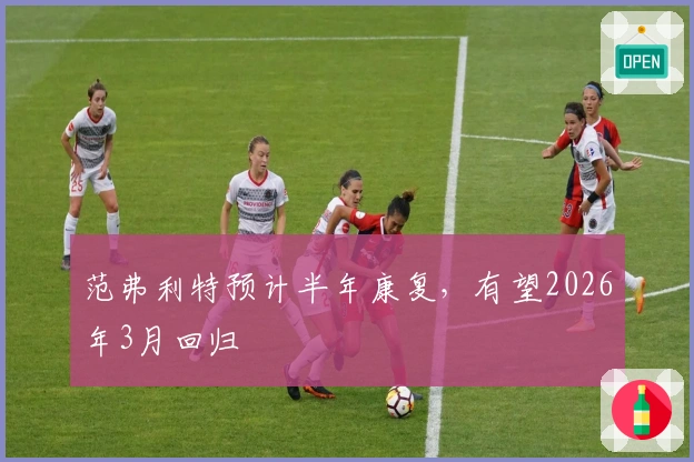 范弗利特预计半年康复，有望2026年3月回归